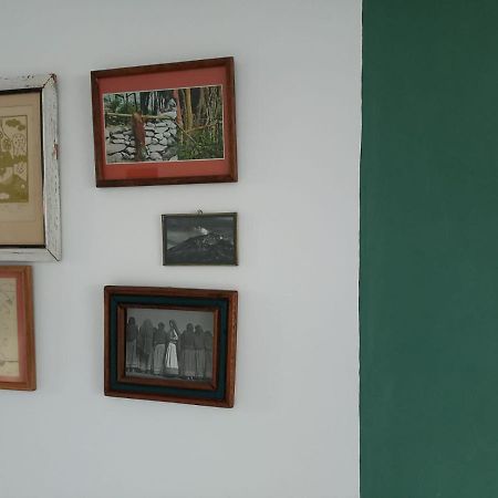 Rincon De Luz Cuernavaca Apartment ภายนอก รูปภาพ