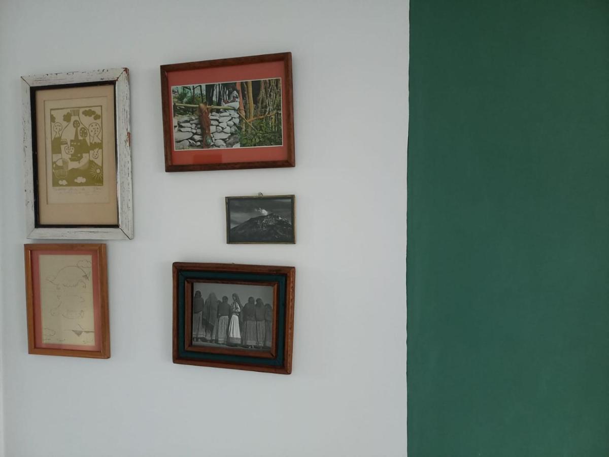 Rincon De Luz Cuernavaca Apartment ภายนอก รูปภาพ